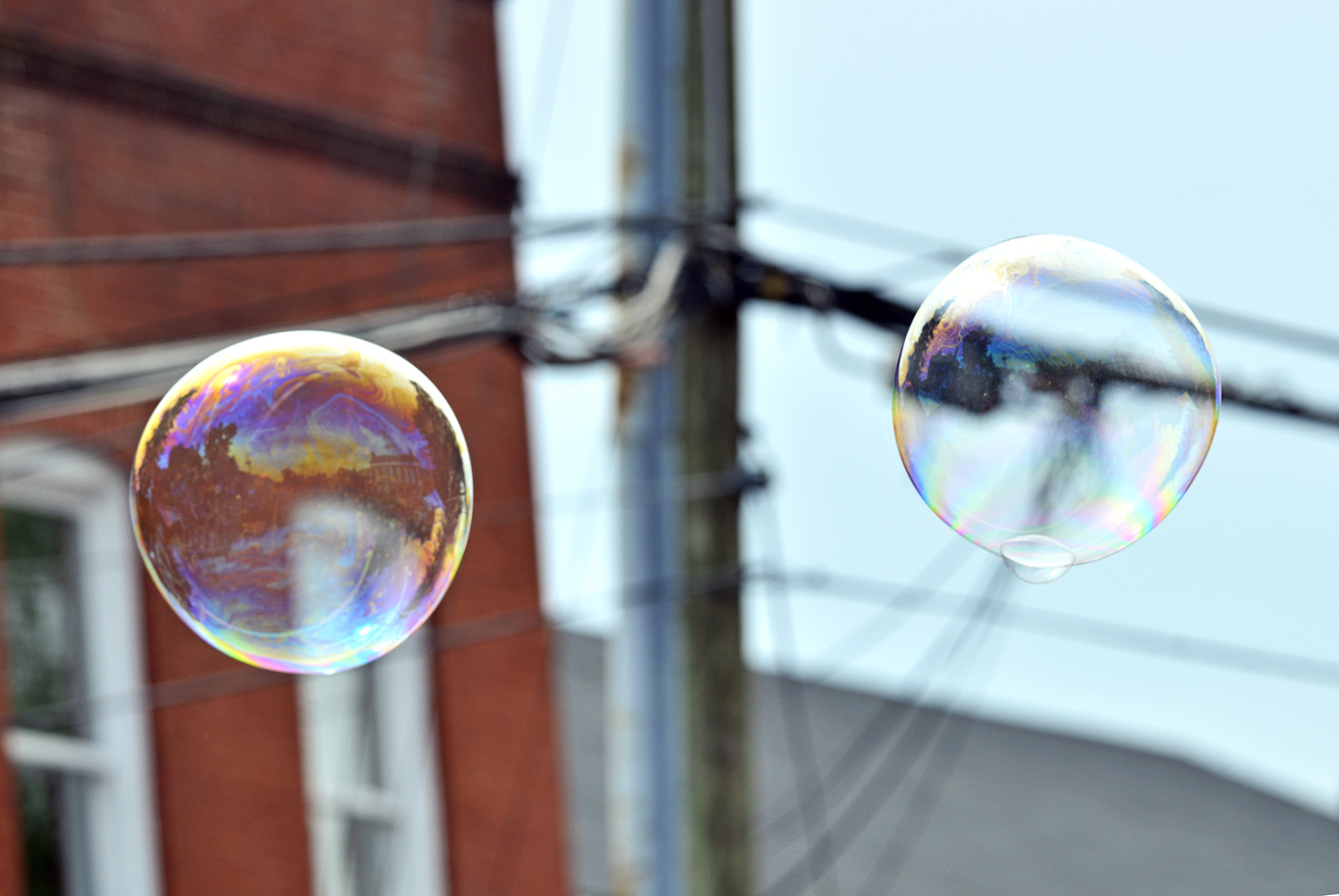 Bubbles_Floating_Parade_City_Fairfax_Virginia.jpg