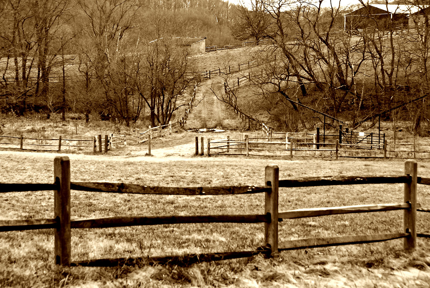 Farm_Splitrail_Fence_Winter_NewCastle_County_Delaware_Sepia.jpg