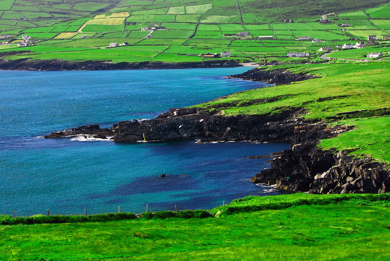 Coast_Bay_Ring-of_Kerry-Emerald_Isle_Farm_Ireland.jpg