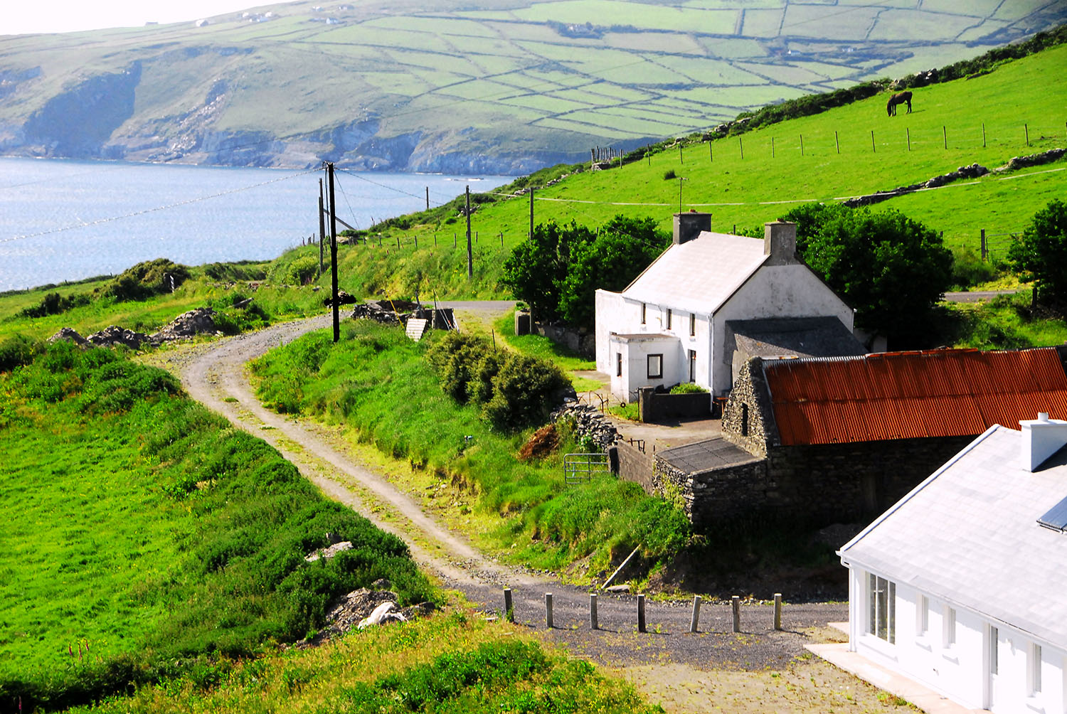Farm_Ring-of_Kerry-Emerald_Isle_Ireland.jpg