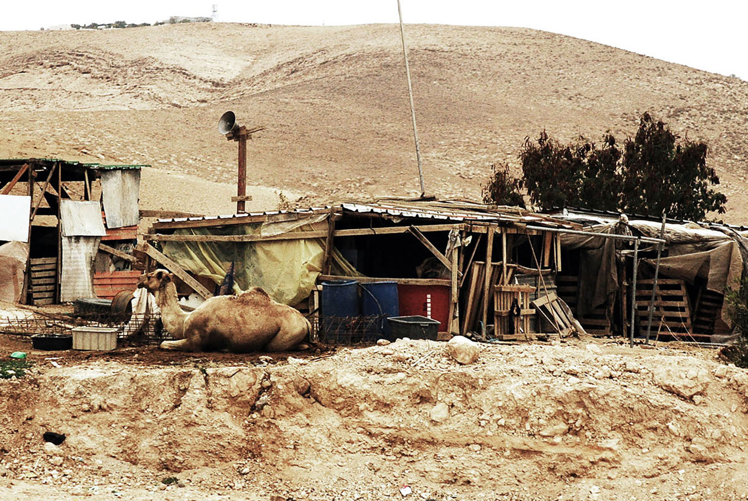 Bedouin_Camp_Muslim_Home_Camel_Shack_Desert_Israel.jpg
