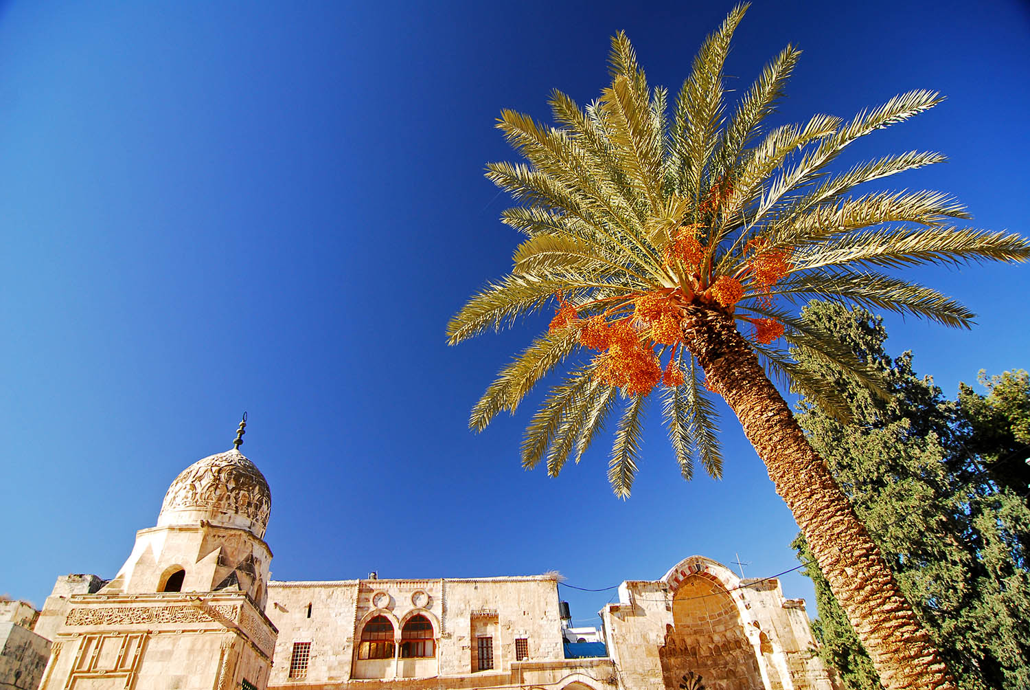 Mosque_Palm_Tree_BluebirdSky_Jerusalem.jpg