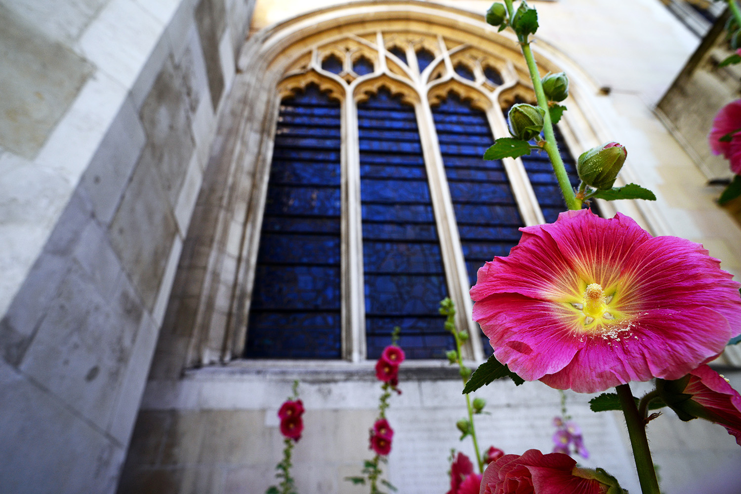 Westminster_Abbey_Collegiate_Church_of_St_Peter_Flower_London_England.jpg