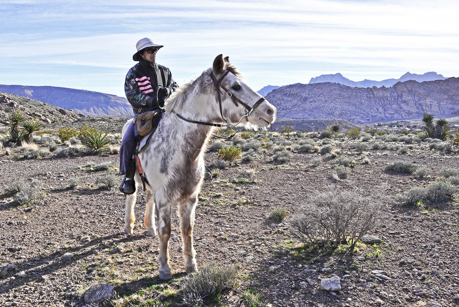 Woman_Horsewoman_Horseback_Riding_Desert_Red-Rock-Canyon-National-Conservation-Area_Nevada.jpg