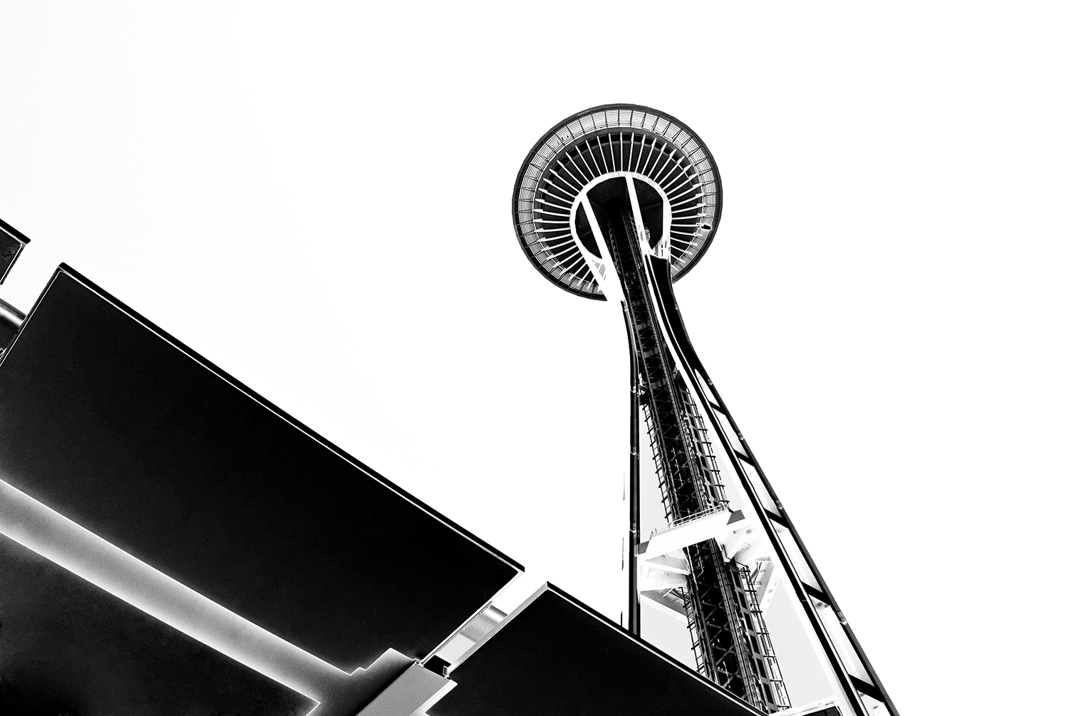 Space_Needle_Skyscraper_Observation_Tower_Landmark_Tourism_Black-and-White_Seattle_Washington.jpg