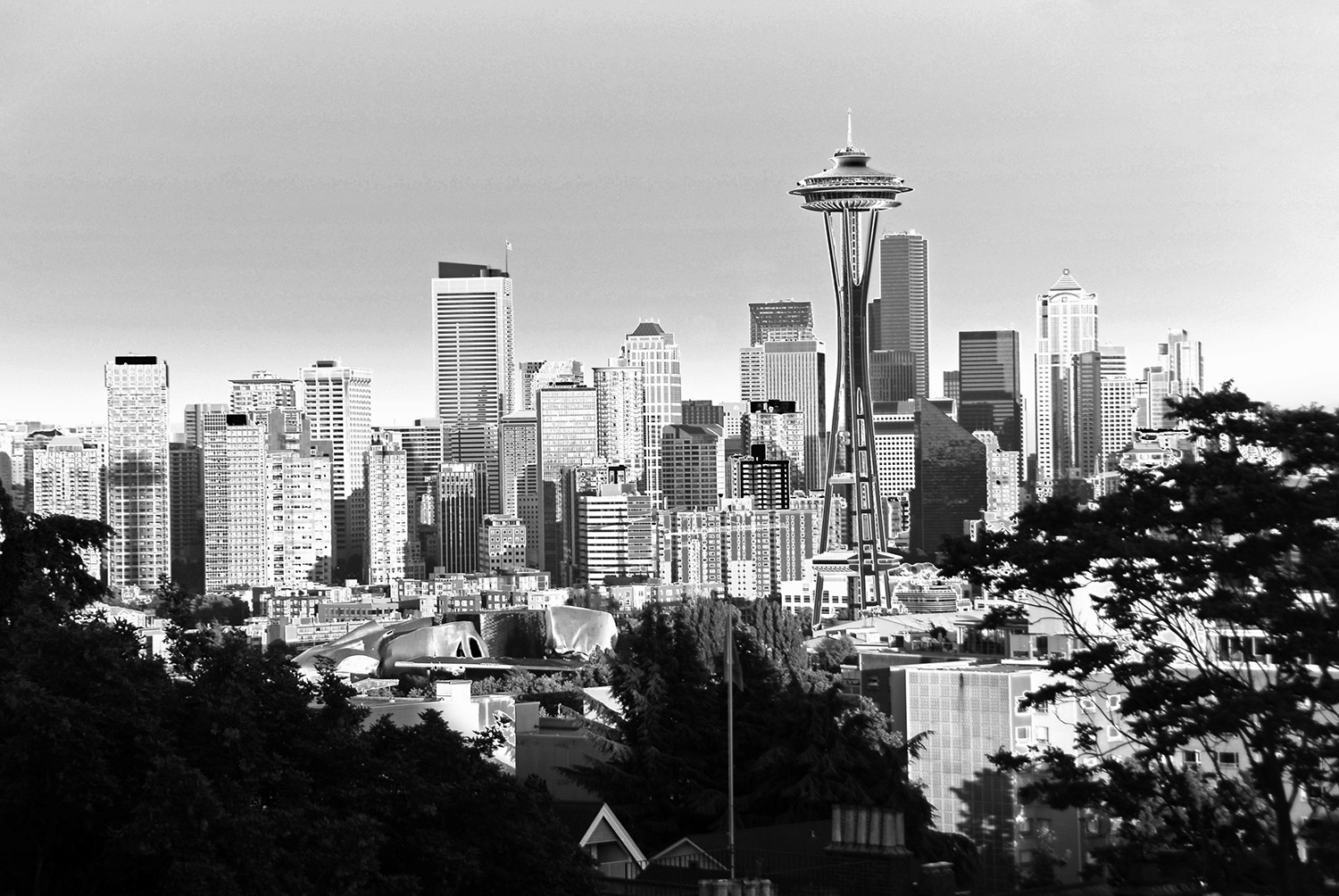 Space_Needle_Skyscraper_Observation_Tower_Skyline_Landmark_Black-and-White_Seattle_Washington.jpg