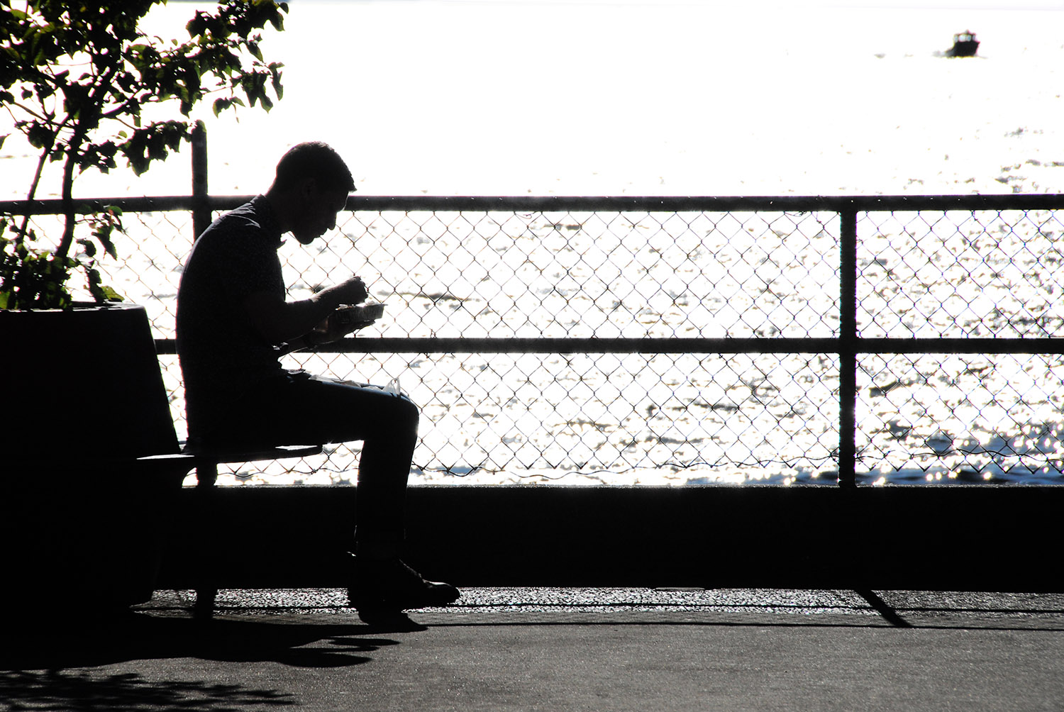 Man_Eating_Lunch_Lunchtime_Outdoors_Bench_Puget_Sound_Silhouette_Seattle_Washington.jpg