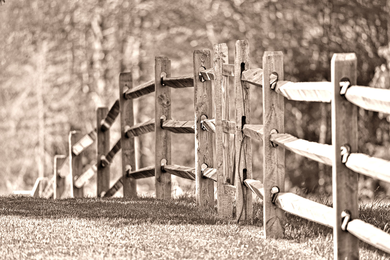 Split_Rail_Fence_Scenic_Rural_Travel_History_Americana_Nelson_County_Virginia.jpg