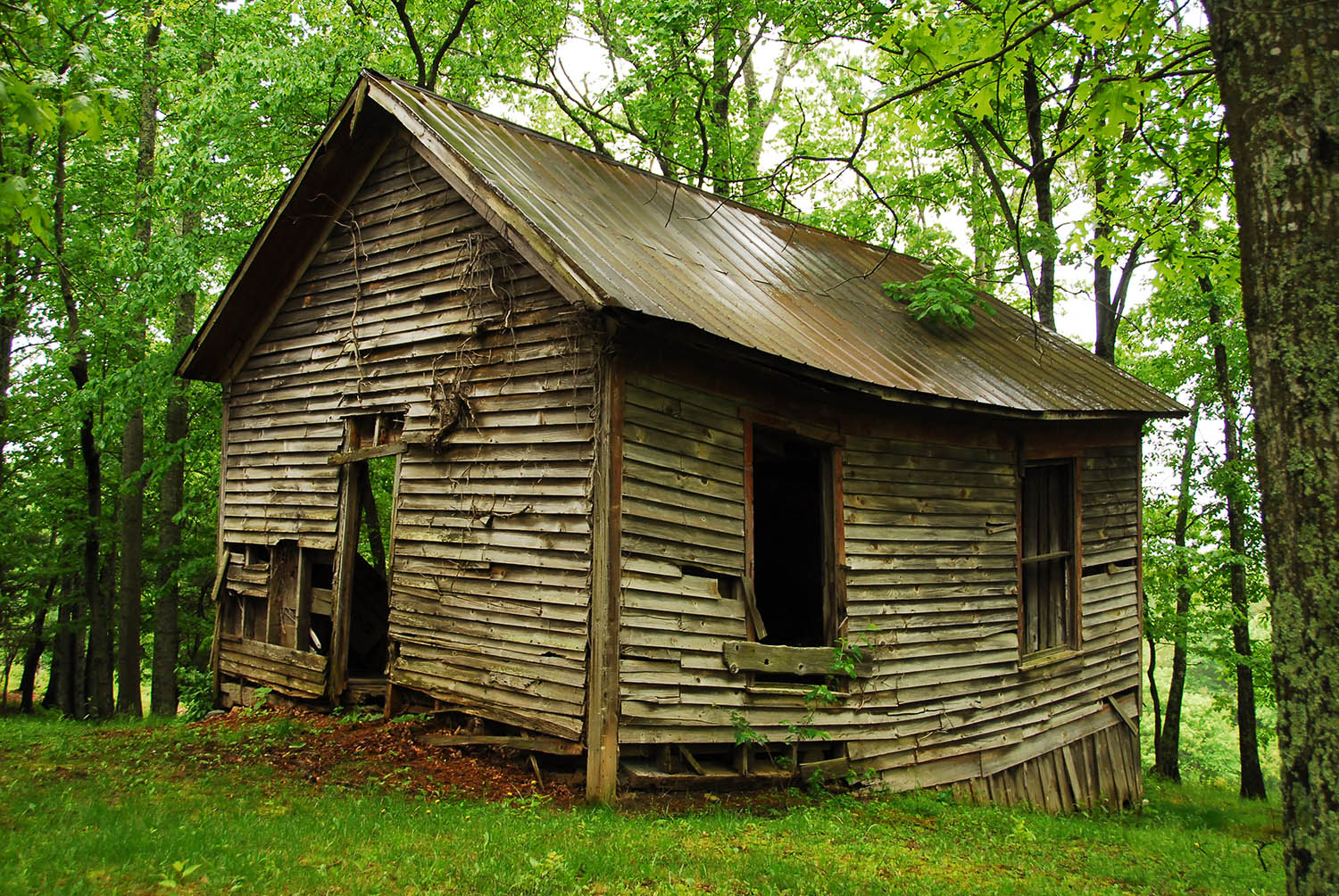 Shack_Dilapidated_Ramshackled_Rundown_Old_House_Rural_Wooded_Virginia.jpg