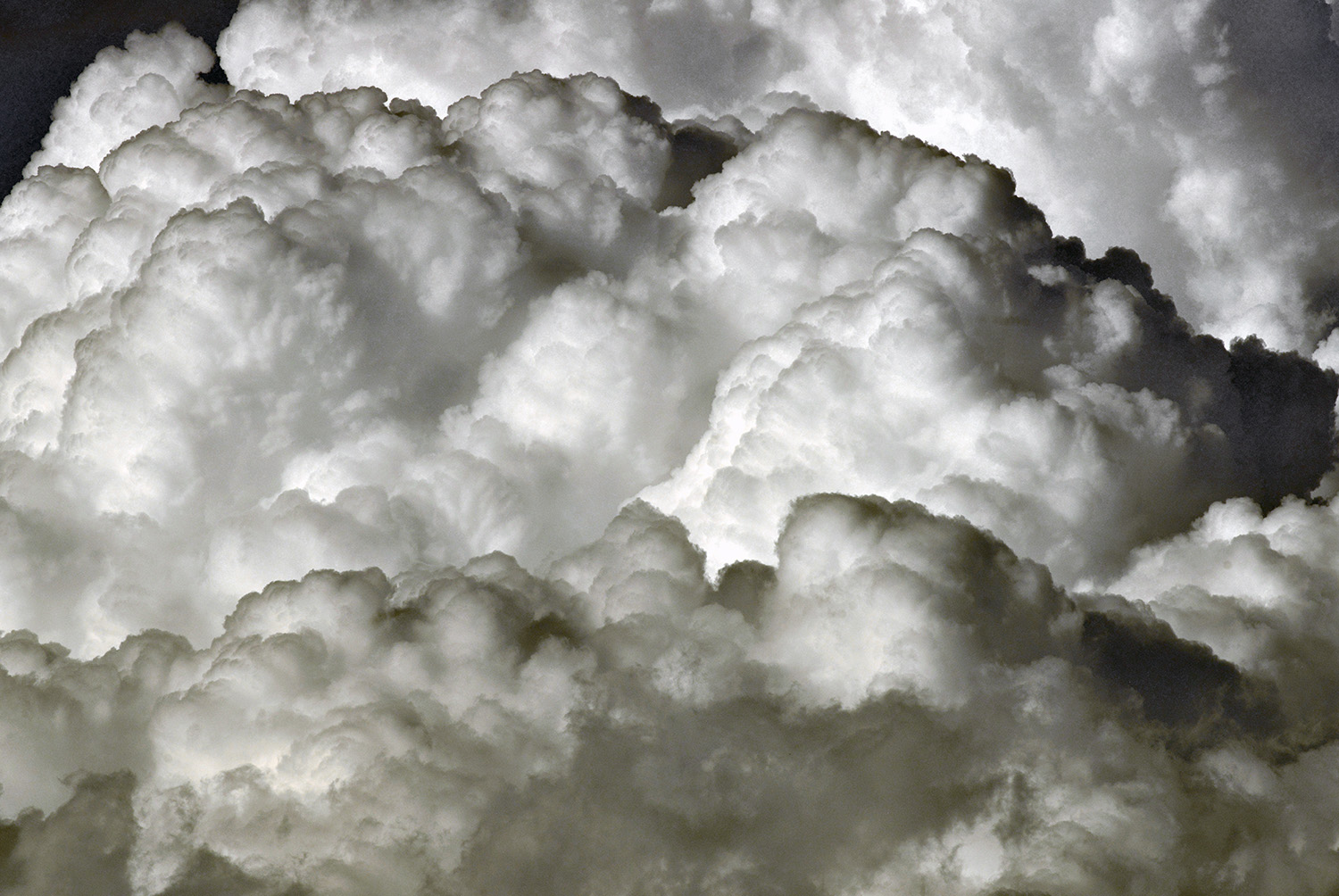 Cumulus_Clouds_Billowing_Black-and-White.jpg