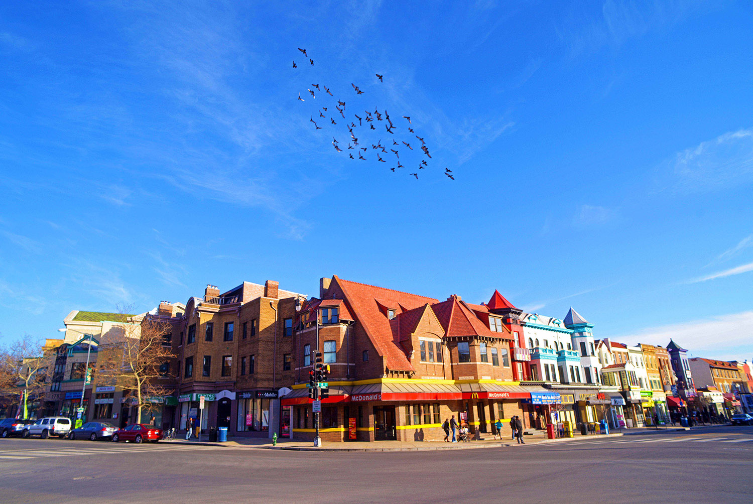 Architecture_Adams_Morgan_18th_and_Columbia_Urban_Pigeons_Washington_DC.jpg