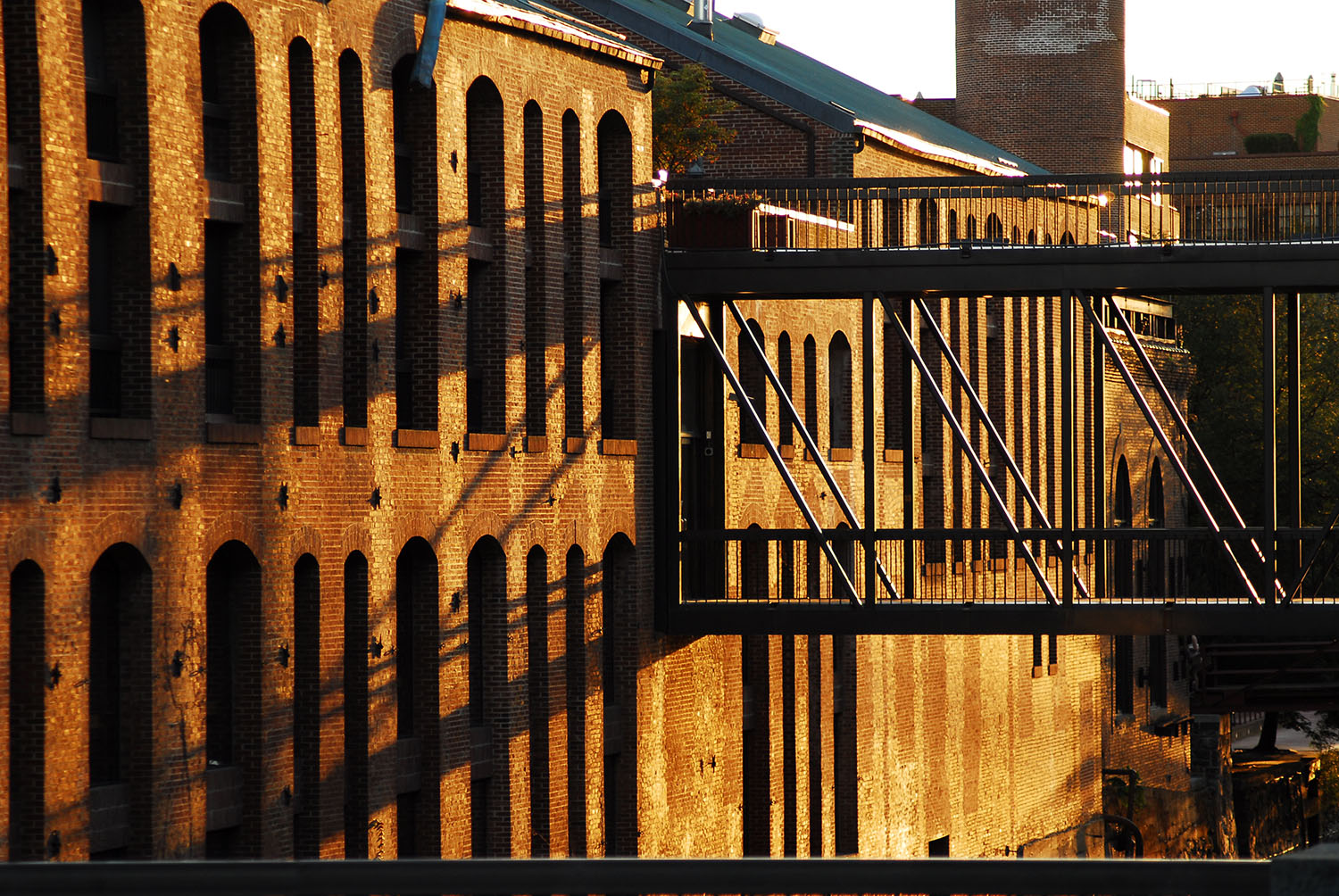 Architecture_Brick_Building_Golden_Hour_Sunlight_Georgetown_Washington_DC_Travel.JPG