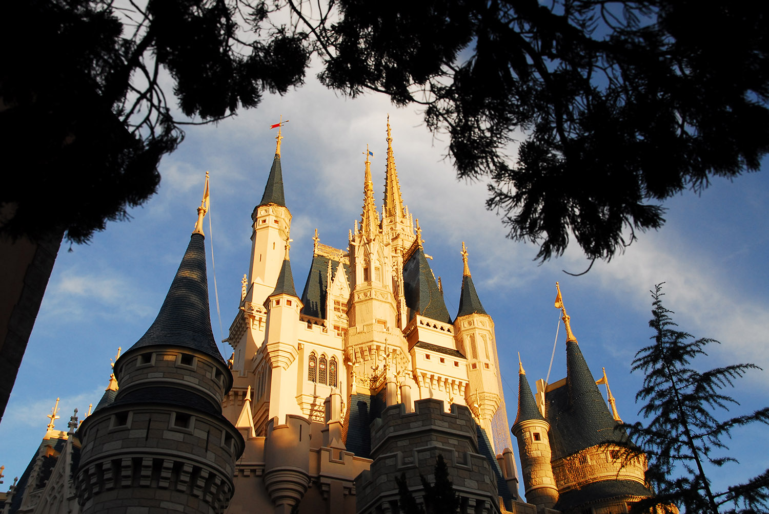 Architecture_Cinderella_Castle_Vacation_Tourism_Disney_World_Orlando_Florida.JPG