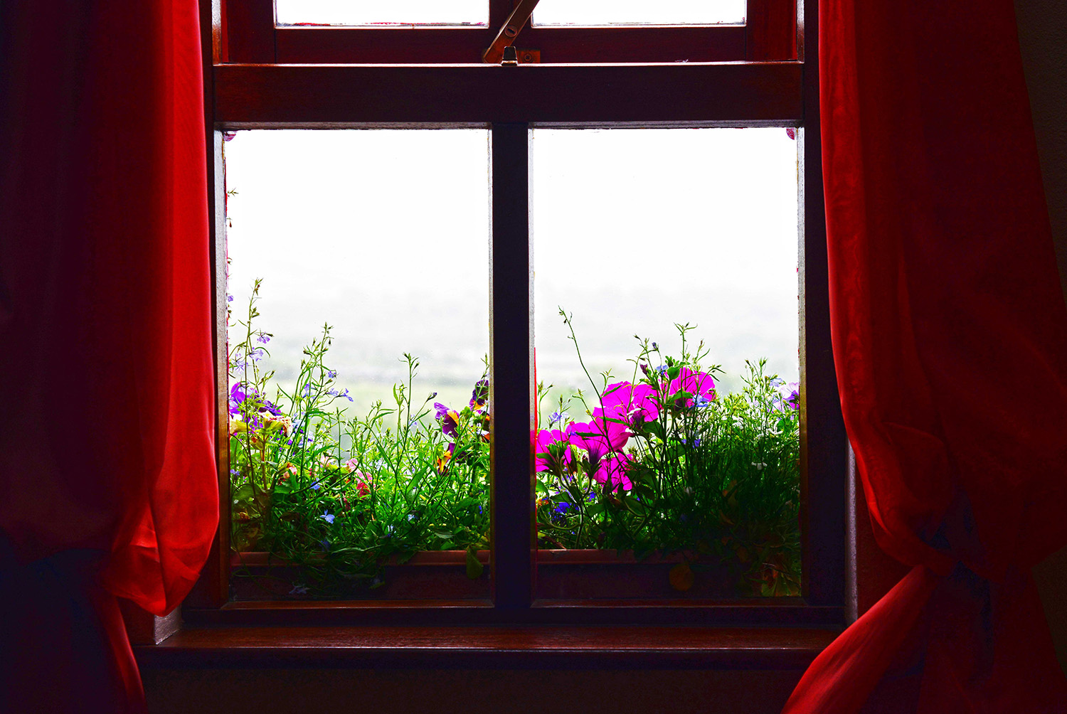 Architecture_Window_County_Clare_Red_Curtains_Flower_Box_Travel_Ireland.jpg