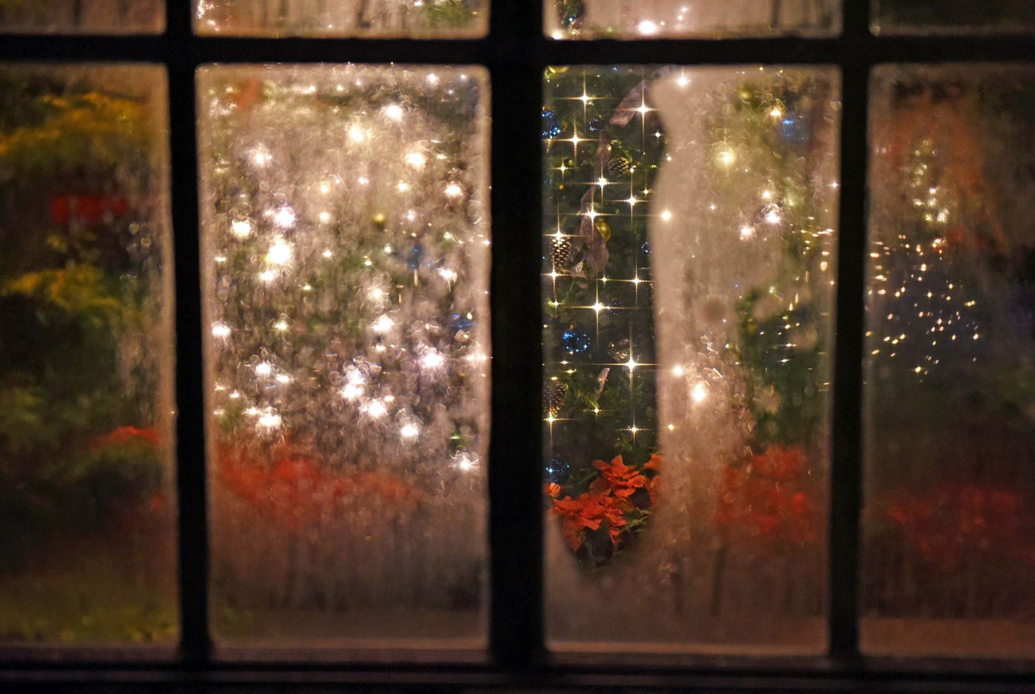 Christmas_Decorations_Window_Sparkling_Light_Poinsettias_Holiday_Warmth.jpg