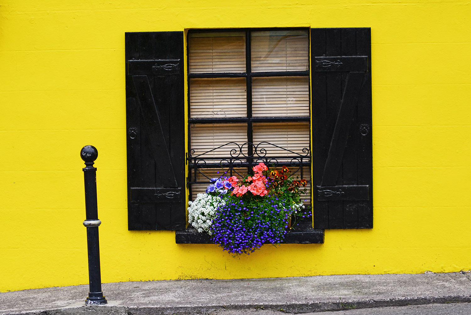 Window_Flower_Box_Yellow_Wall_Hitching_Post_Castlegregory_Ireland.jpg