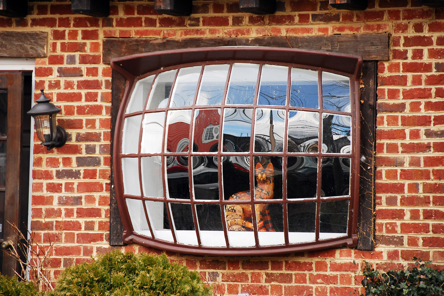 Window_Curved_Bowed_Cat_Porcelain_Occoquan_Virginia.jpg