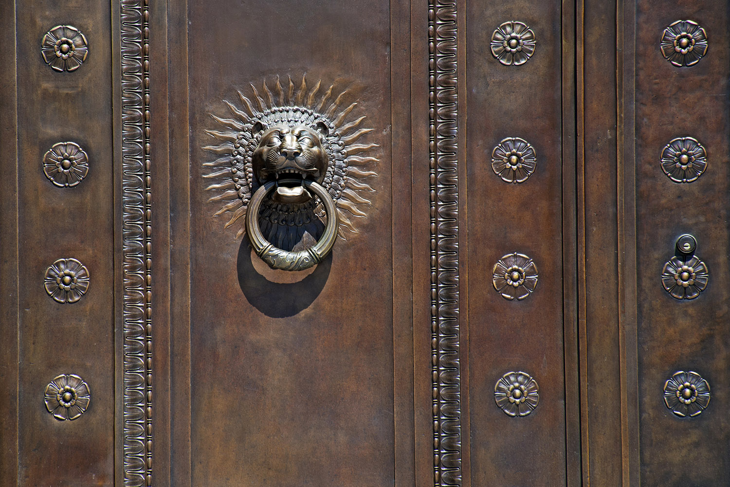 Door_Knocker_Lion_Ornate_Bronze_Architecture_Washington_DC.jpg