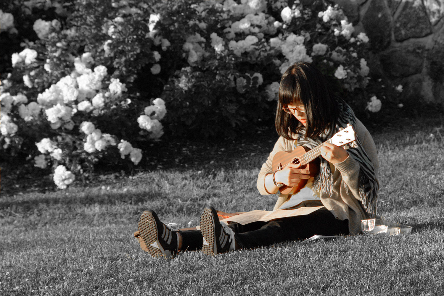 Musician_Teenager_Ukelele_Guitar_Sitting_Practice_Outdoors_Bellingham_Washington.jpg
