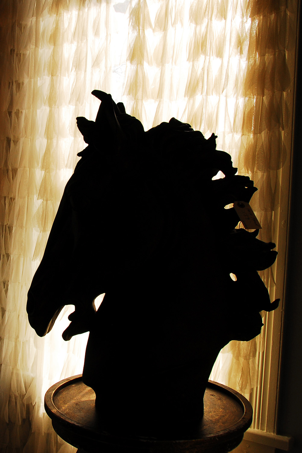 Antique_Horse_Head_Sculpture_Silhouette_Still_Life.jpg