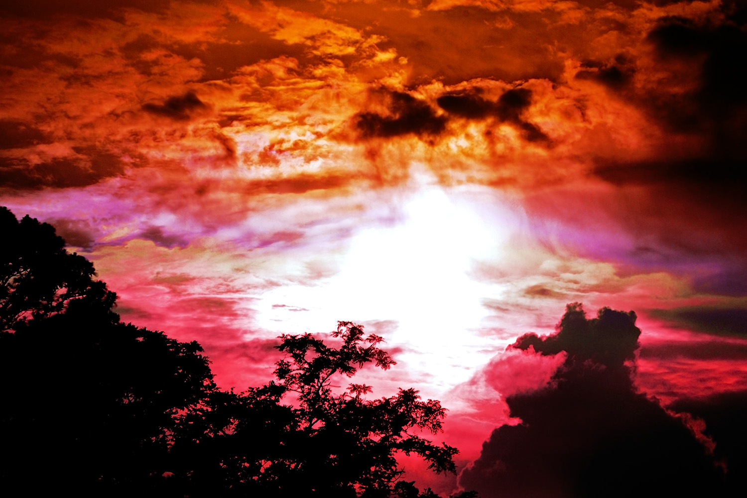 Sunset_Twilight_Orange_Red_Silhouette_Trees_Fiery_Sky.jpg