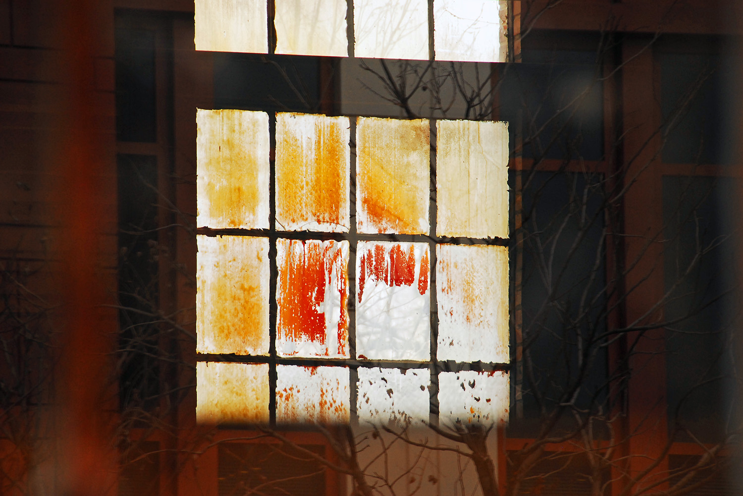 Window_Warehouse_Reflection_Tree_Orange.jpg