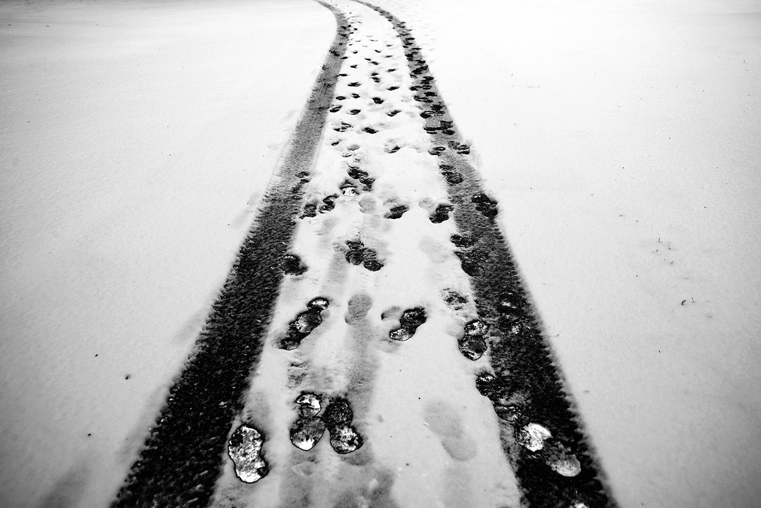 Snow_Car_Tracks_Footprints_Winter.jpg