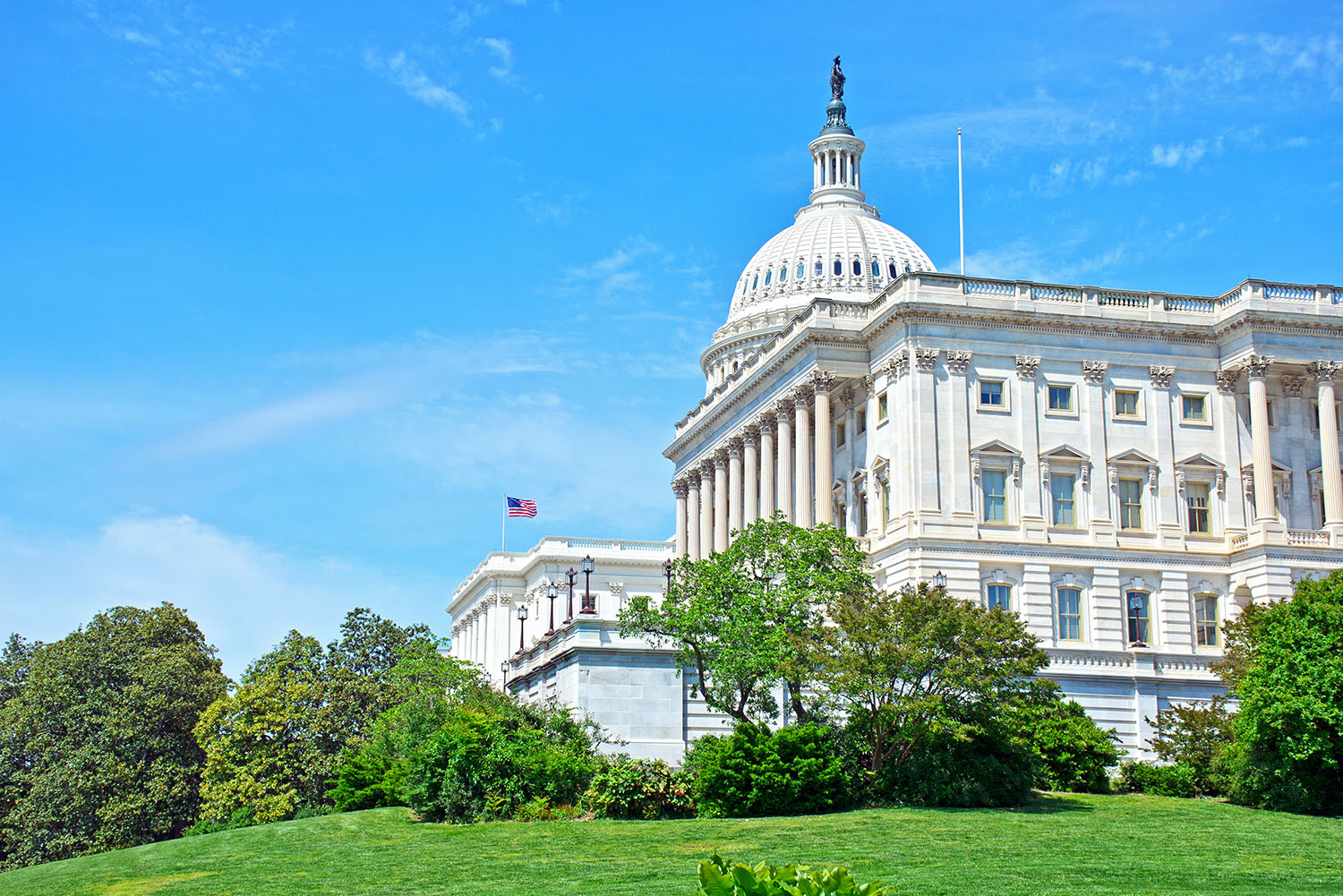 US_Capitol_Dome_Flag_Congress_House_of_Representatives_Federal_Government_Tourism_Washington_DC.jpg