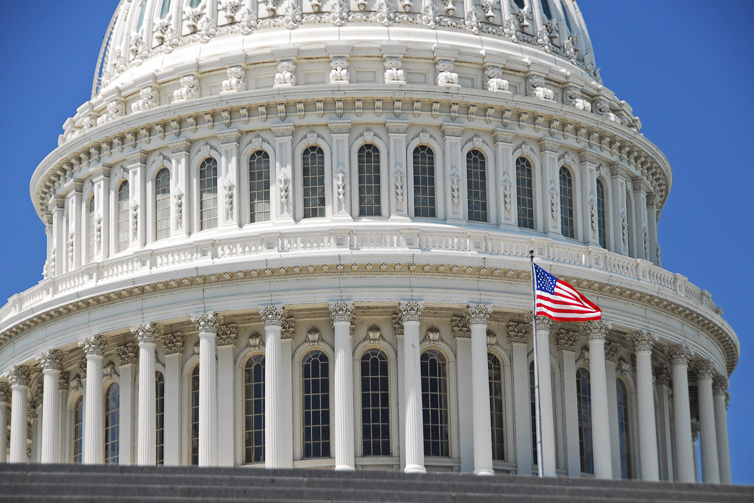 US_Capitol_Dome_Flag_Closeup_Detail_Congress_House_of_Representatives_Federal_Government_Tourism_Washington_DC.jpg