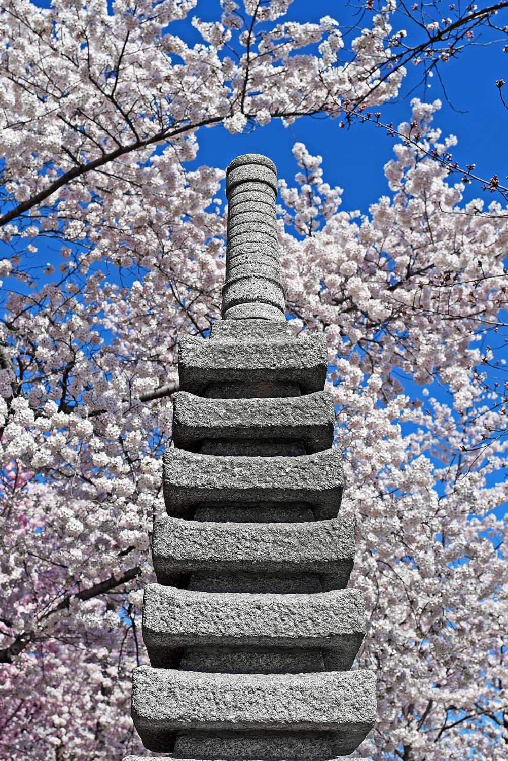 Japanese_Pagoda_Statue_Gift_Washington_Ryozo_Hiranuma_Mayor_Yokohama_Japan_Tidal_Basin_Cherry_Blossoms_DC.jpg