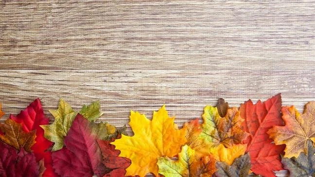 autumn-proof-your-home-136409618976803901-160914143138.jpg