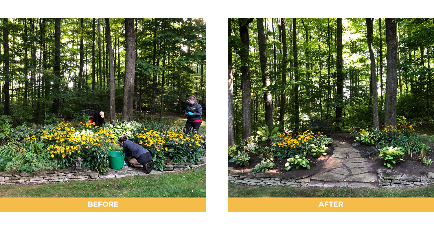 Garden maintenance Aurora Newmarket York Region4.jpg