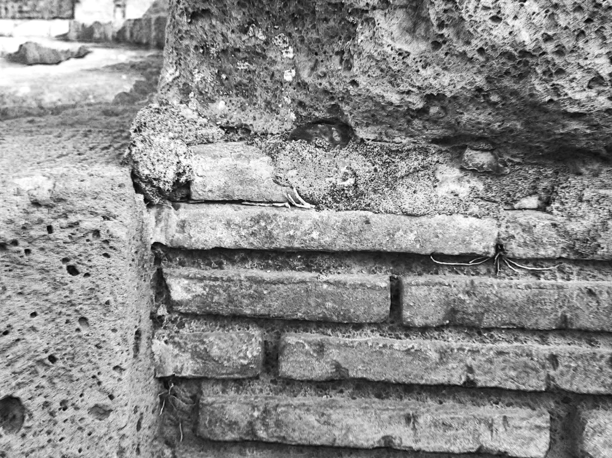 31Brick.jpg