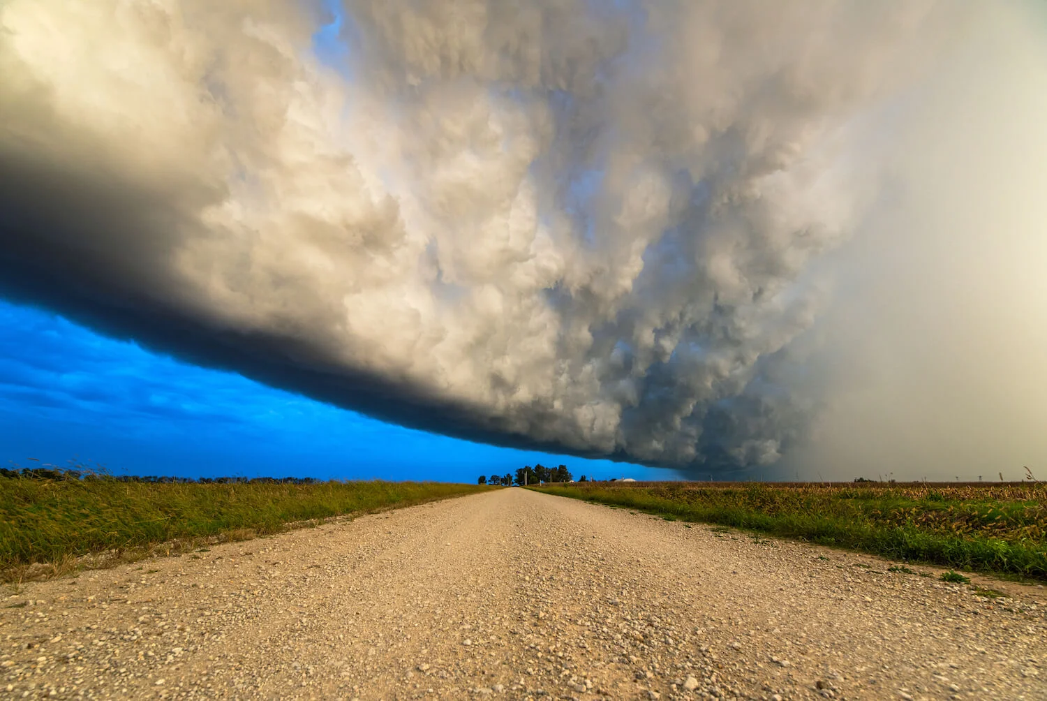 storm3798.jpg