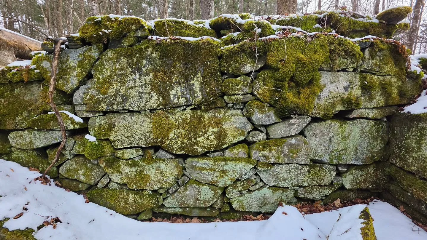 An intriguing set of cultural features on the Waterworks parcel in Stowe, VT. They help display the close relationship of people with these water sources over the last 200 years. They continue to be a vital source today.