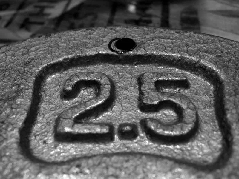 panavise_weight_5_bg.jpg