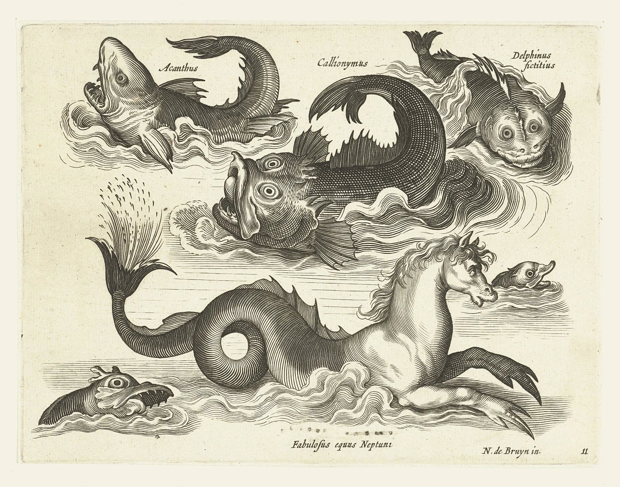 fantastic-aquatic-animals.jpg
