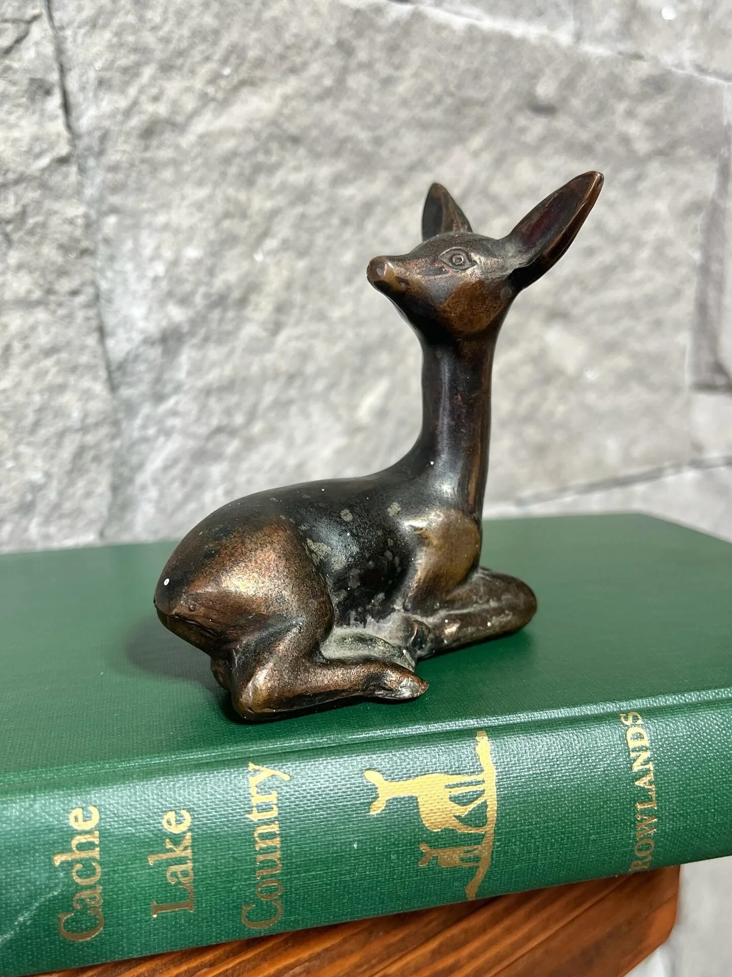 Deer are often seen foraging along the lake shores or even swimming between islands in Voyageurs National Park. The Kabetogama Peninsula offers great opportunities to spot wildlife, including wolves, black bears, and bald eagles, especially during sp