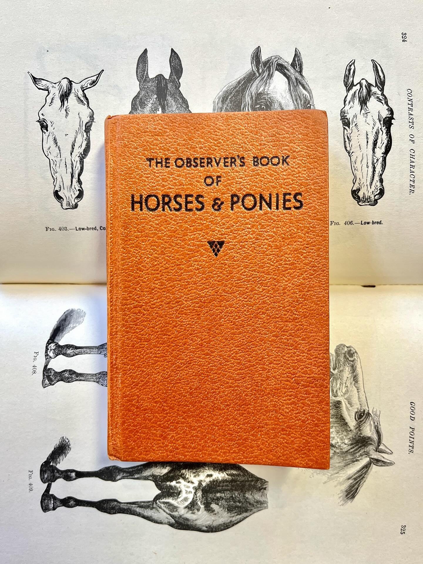 Observer&rsquo;s Book of Horses &amp; Ponies and the Classic Encyclopedia of the Horse book. Available in my online store - link in bio.