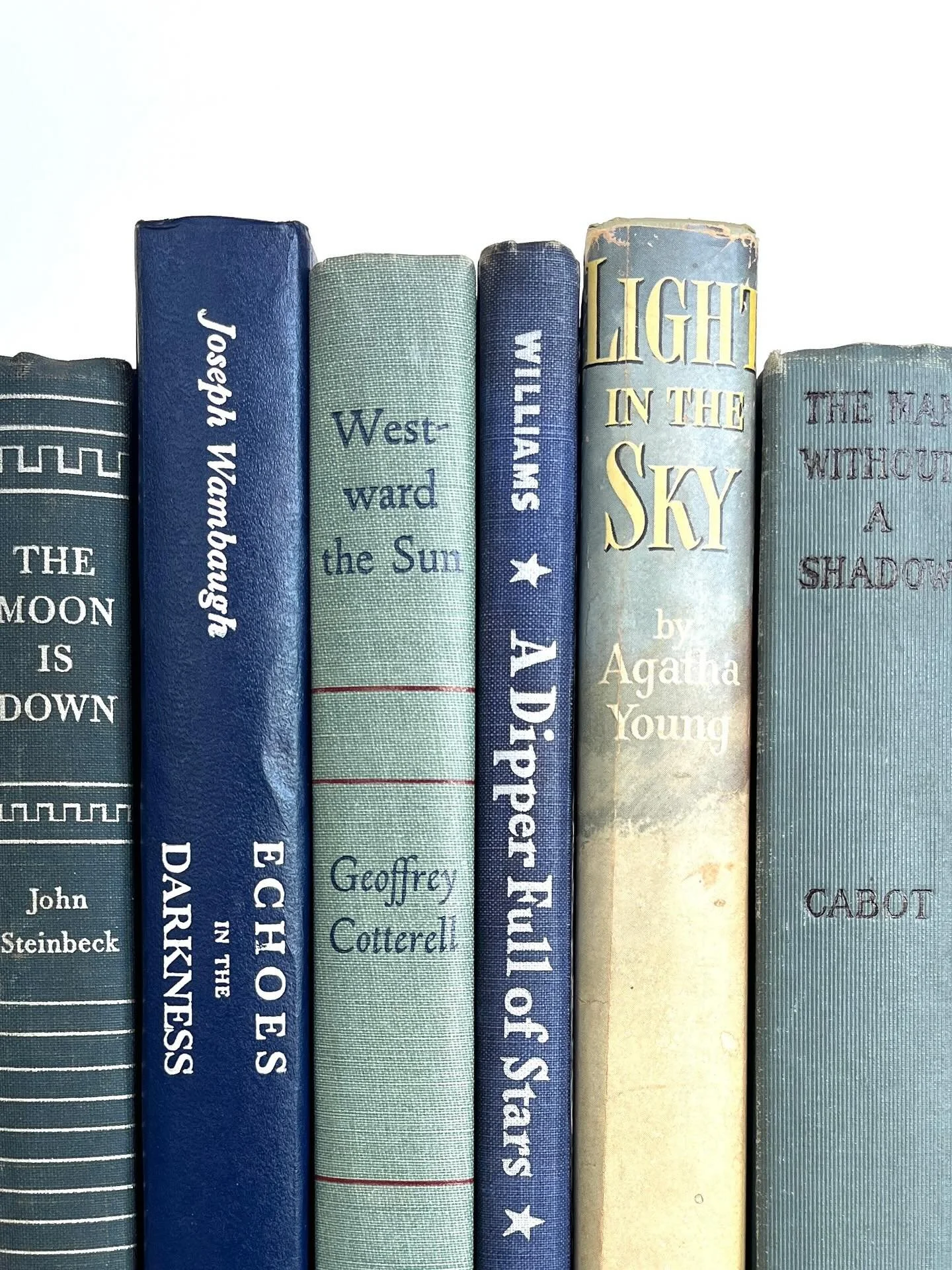 Several celestial themed books I&rsquo;ve curated. I can bundle as a set or sell individually - just let me know your interest! The various blues really look striking together!