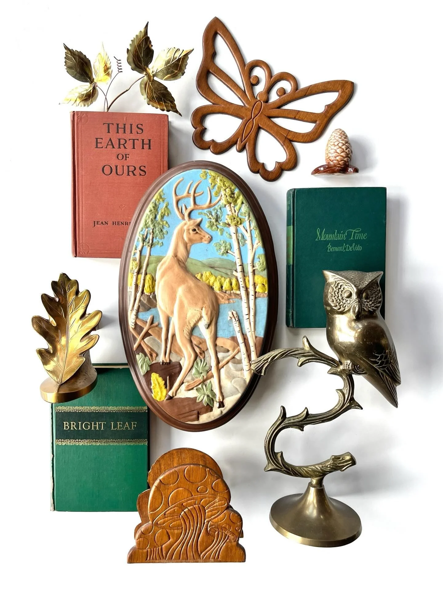 THE SOMEWHERE SERIES // Meet me in the forest!

A tapestry of ancient tales, where owls are silent guardians of the night. Deer wander as noble spirits, often linked to woodland deities such as Artemis. Beneath the canopy, mushrooms form fairy rings 