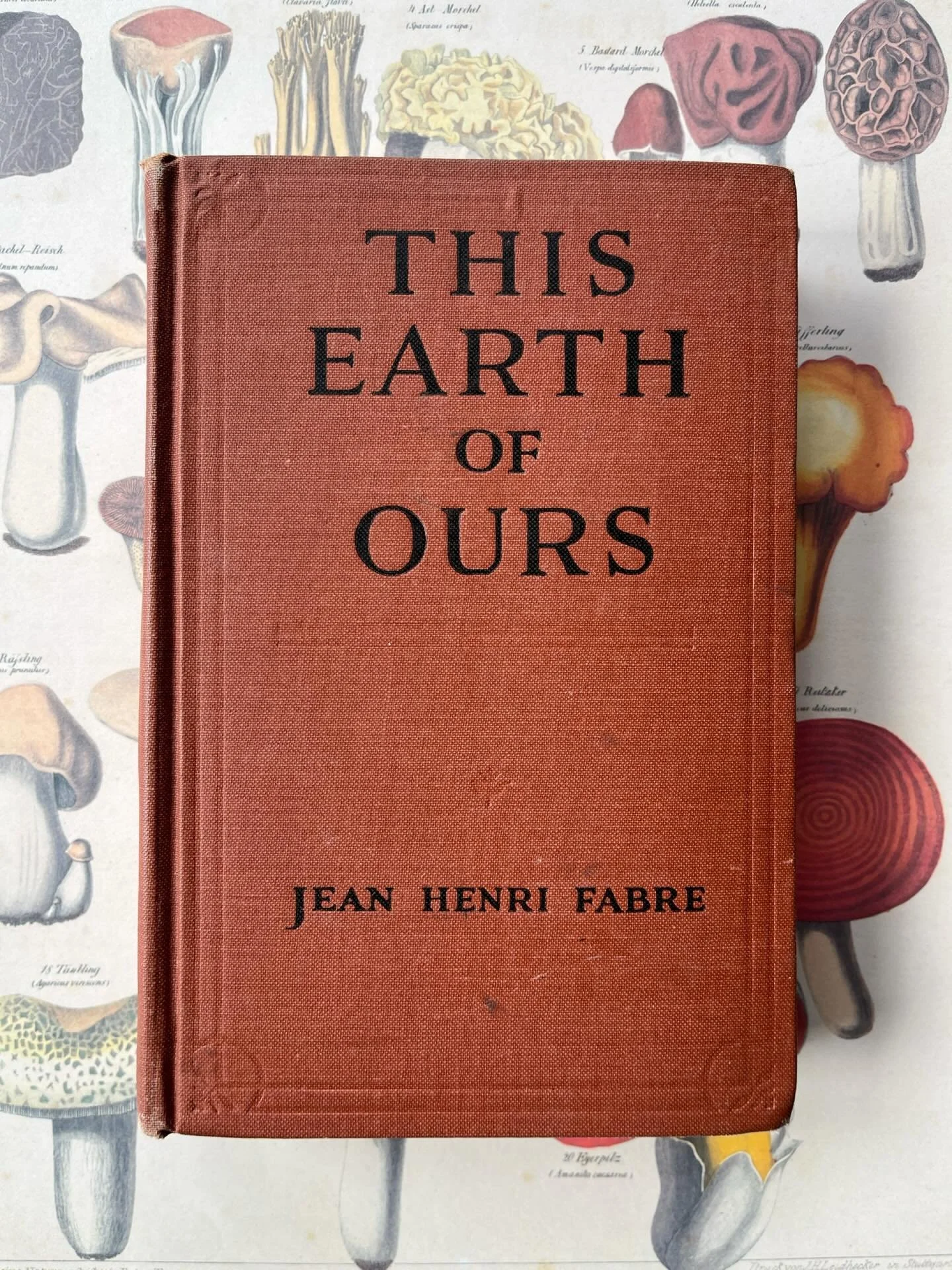 1923 This Earth of Ours book by Jean Henri Fabre, a famous French naturalist and entomologist. Edible mushrooms botanical illustration print. Both available in my online shop. Link in bio.