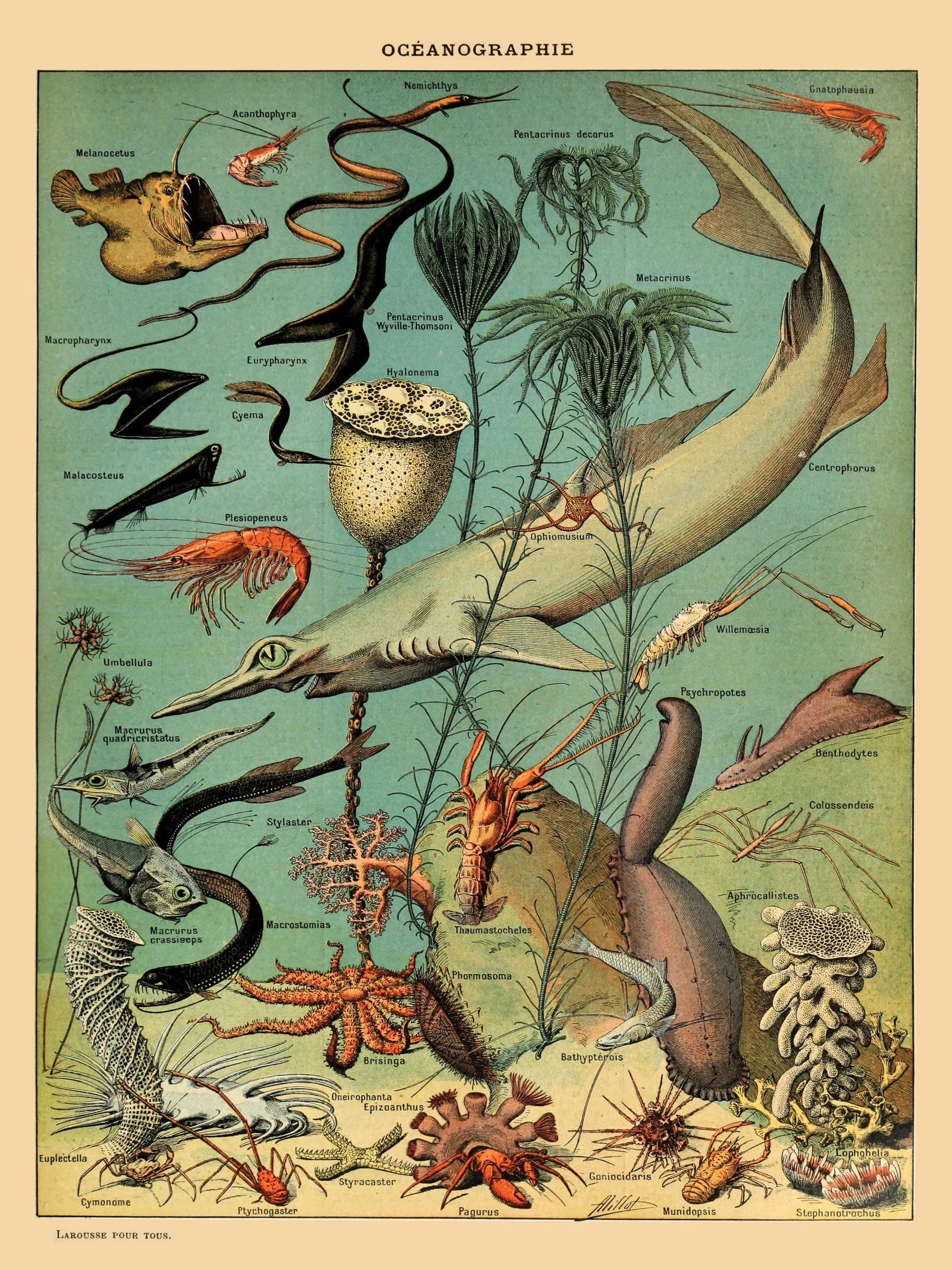 Oceanographie_18x24.jpg
