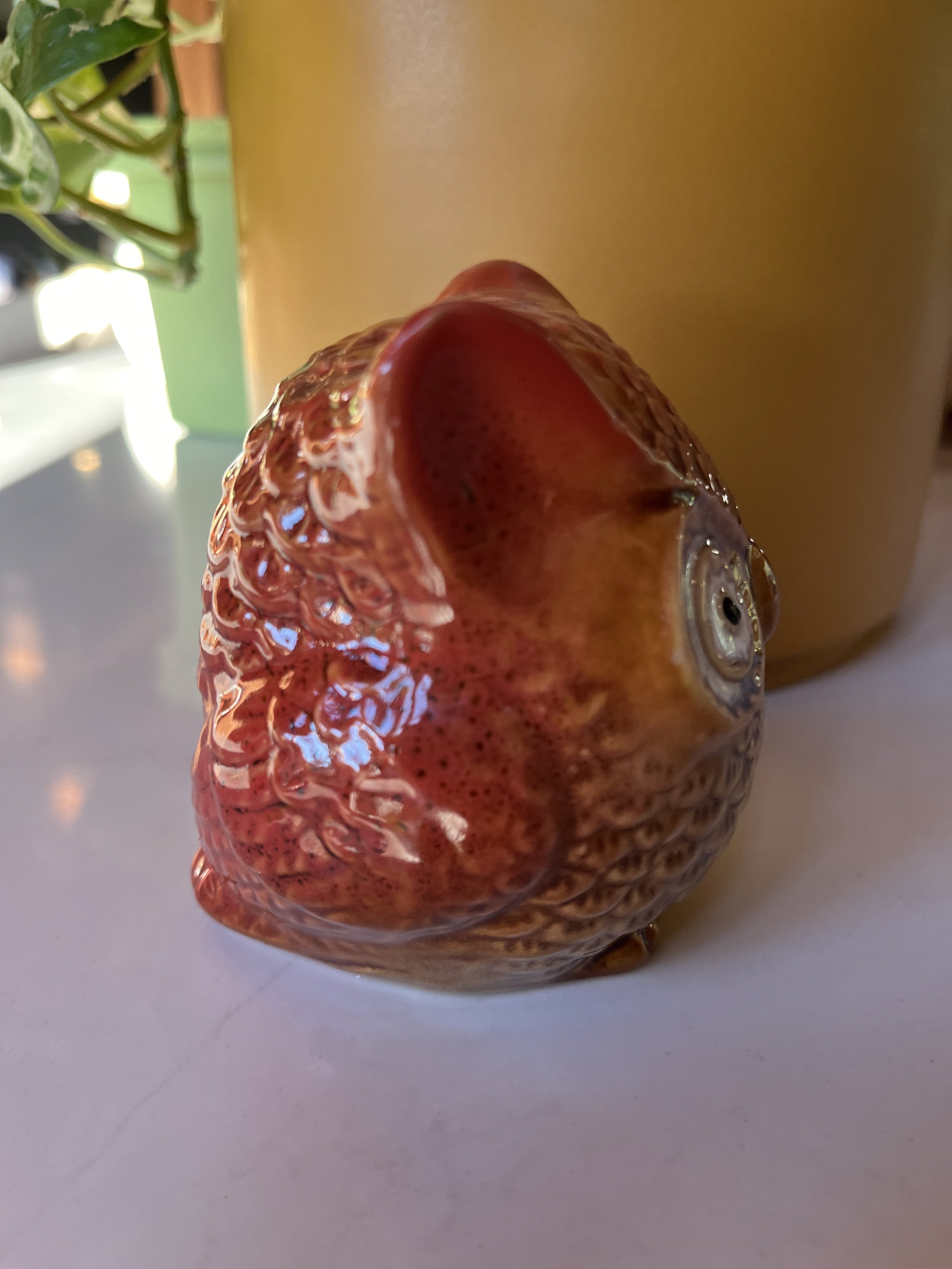 IMG_2272.jpeg