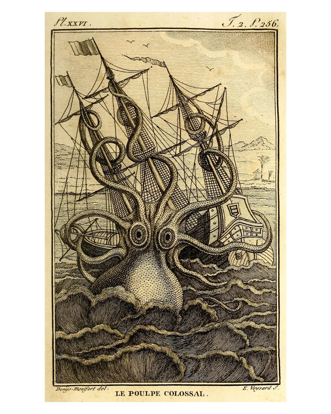 kraken.jpg