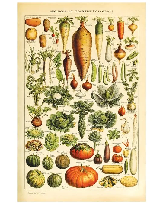 vegetables.jpg