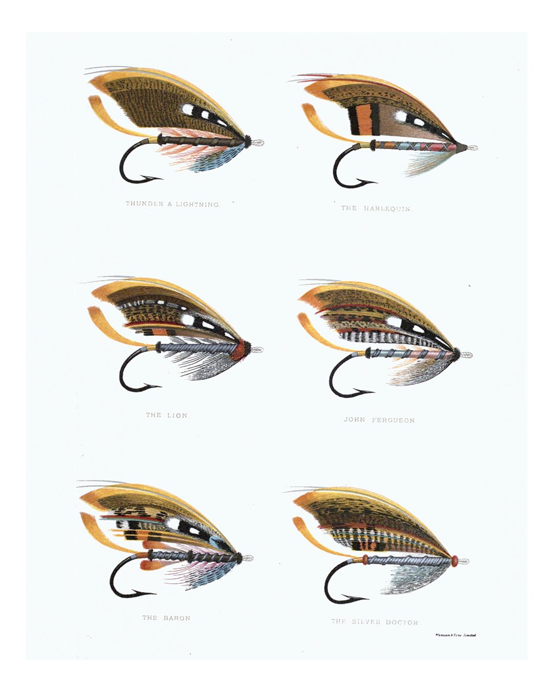 Vintage Fishing Flies Illustration Print