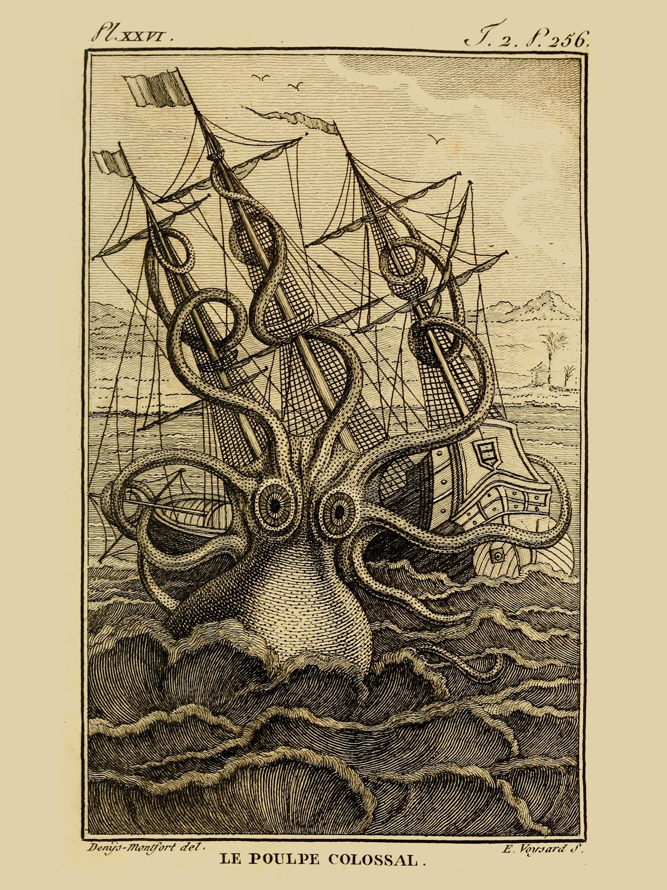 Kraken_18x24.jpg