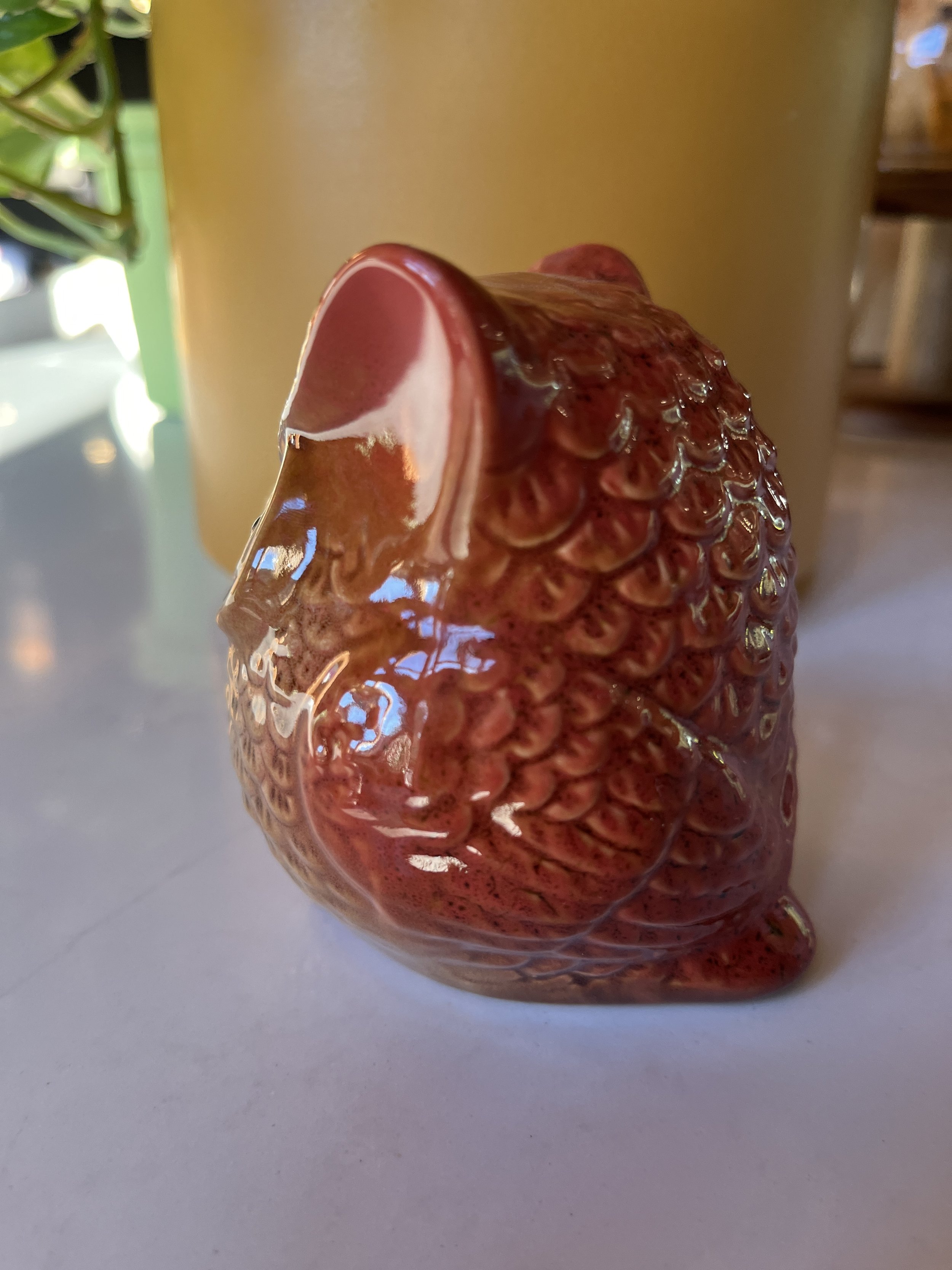 IMG_2274.jpeg