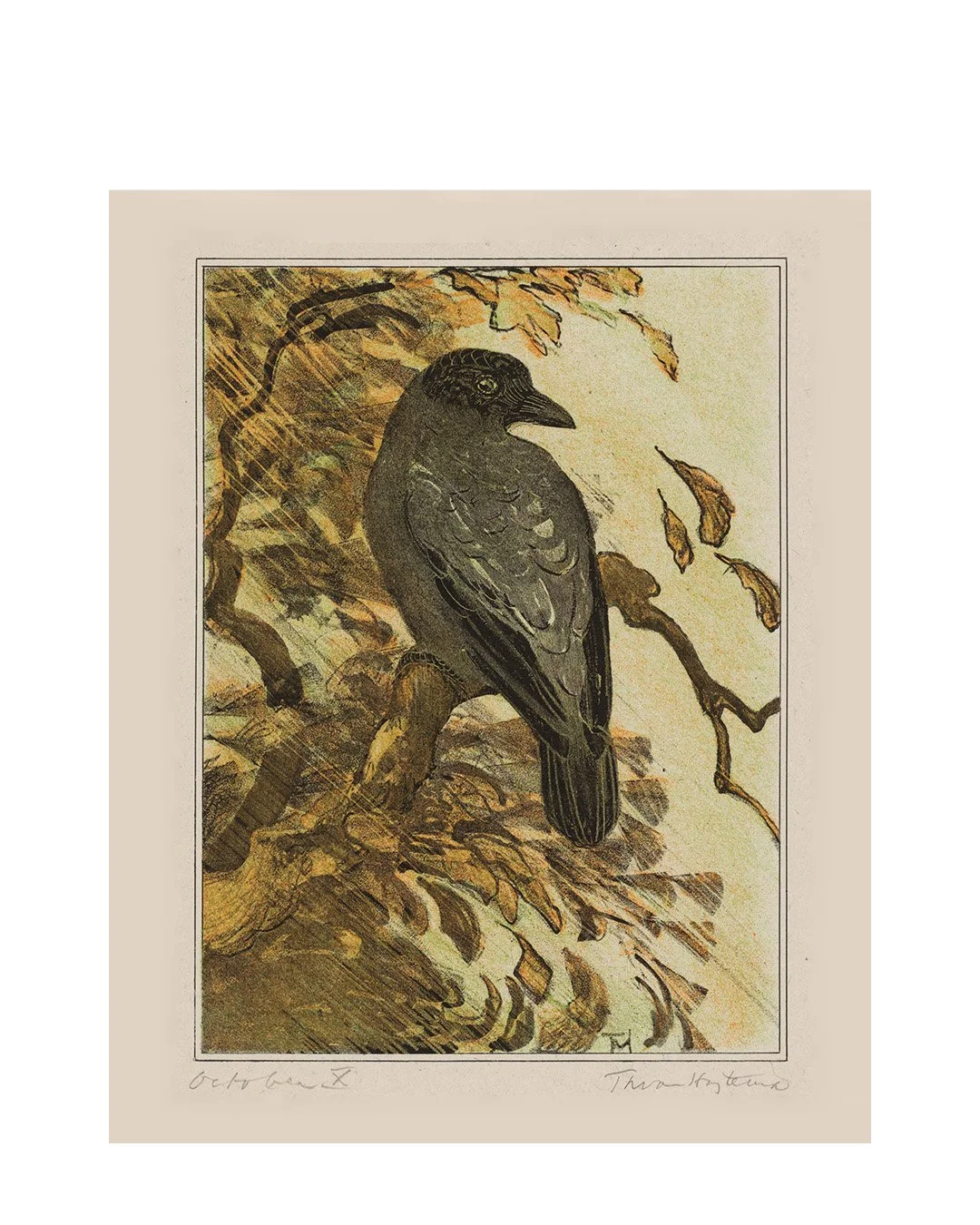 Raven.jpg